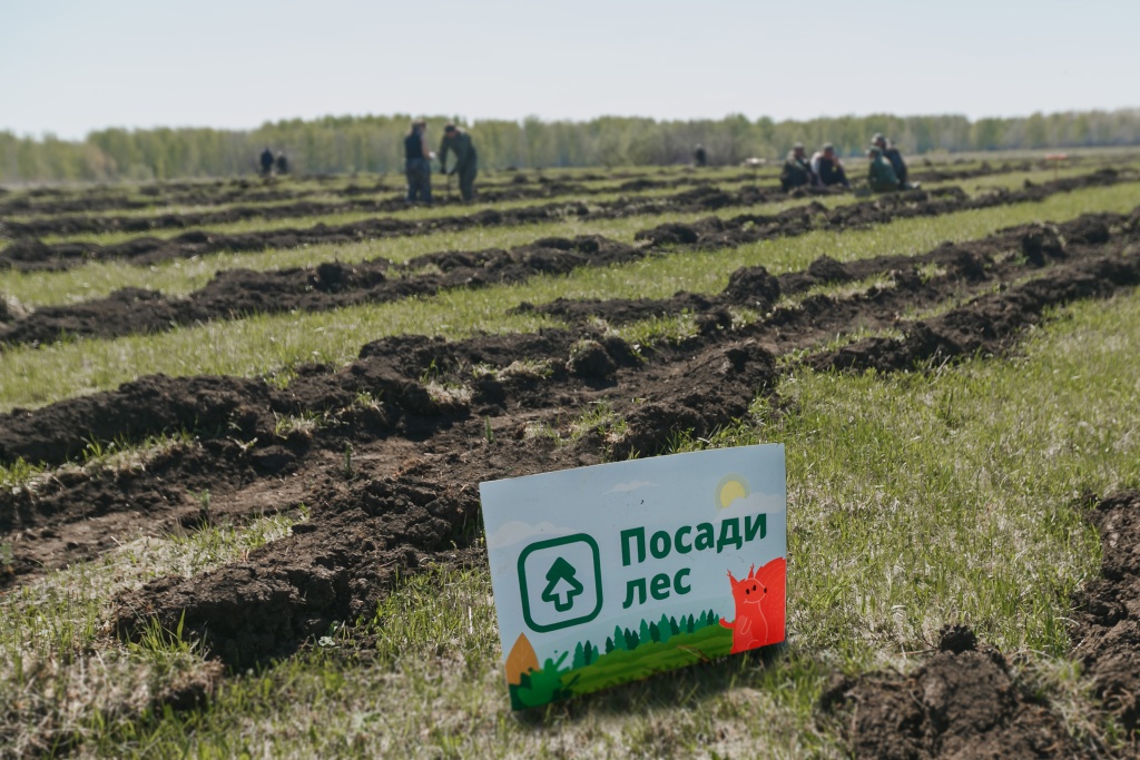 49945025377_a57af4dcc1_o.jpg 49945025377_a57af4dcc1_o.jpg