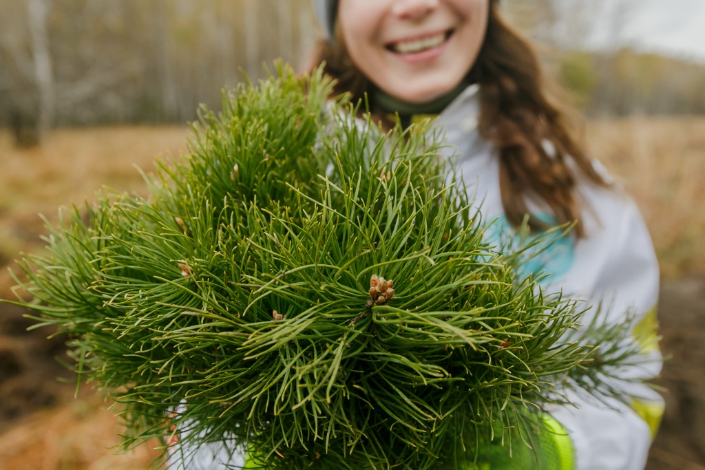 49157205207_12c88cd18b_o.jpg 49157205207_12c88cd18b_o.jpg