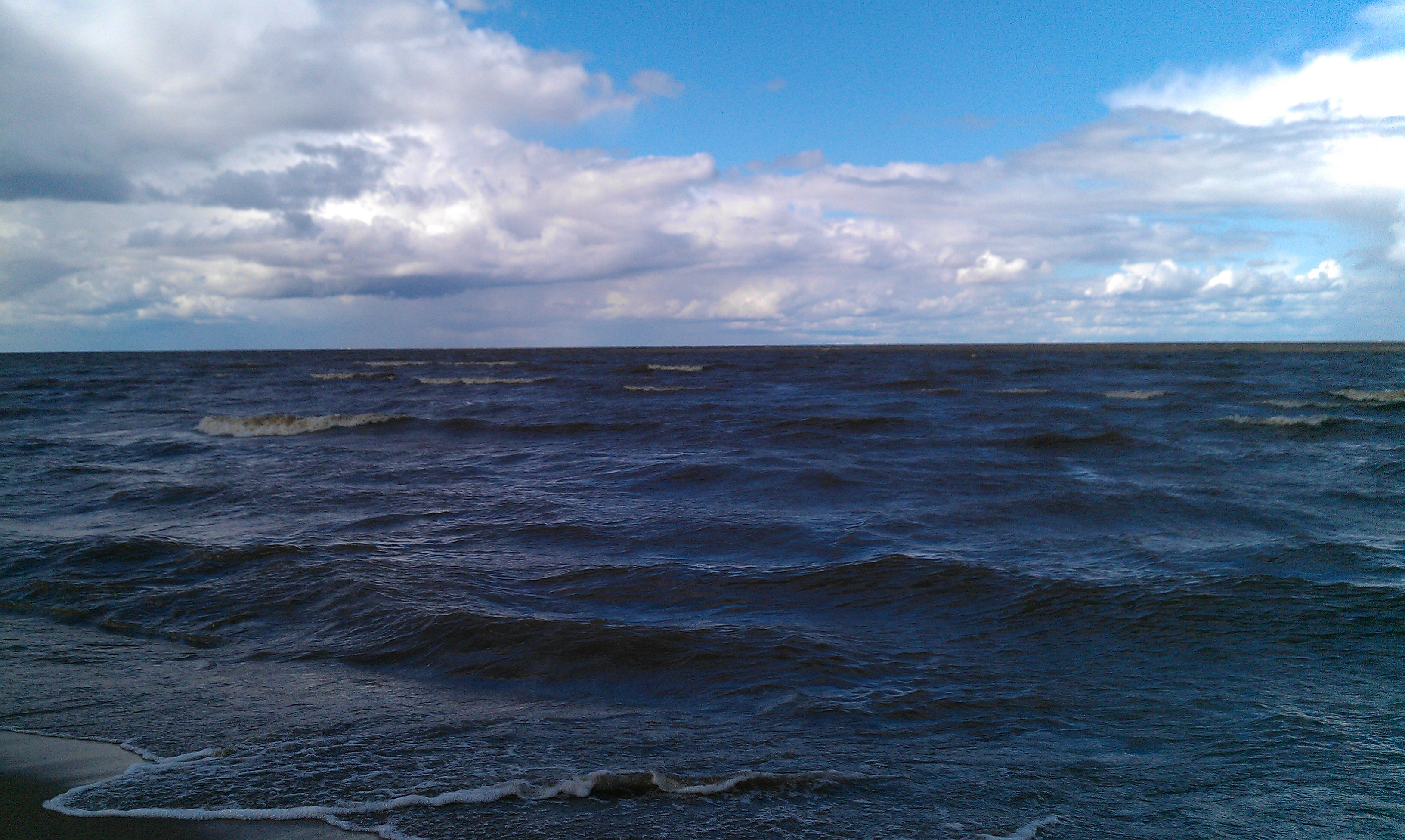 IMAG0923