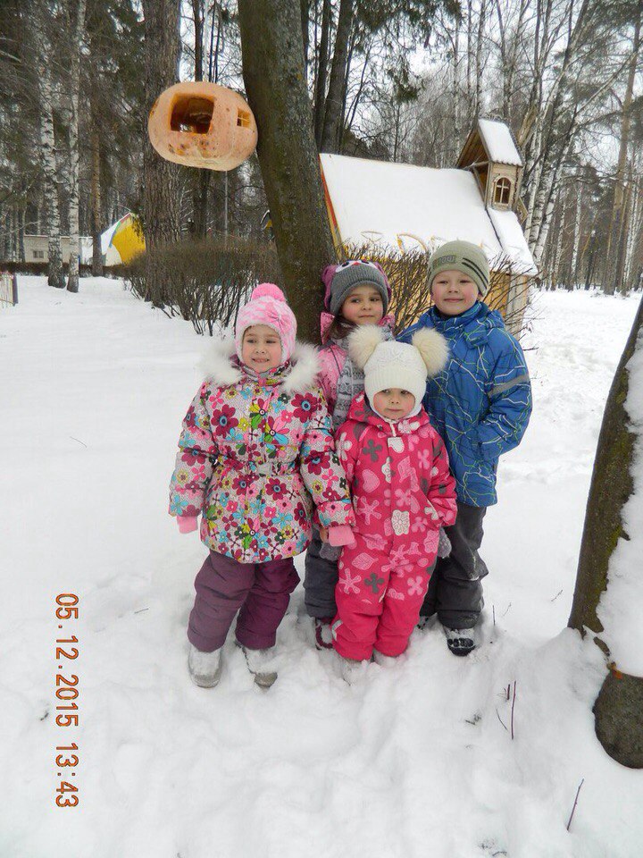 Кормушка