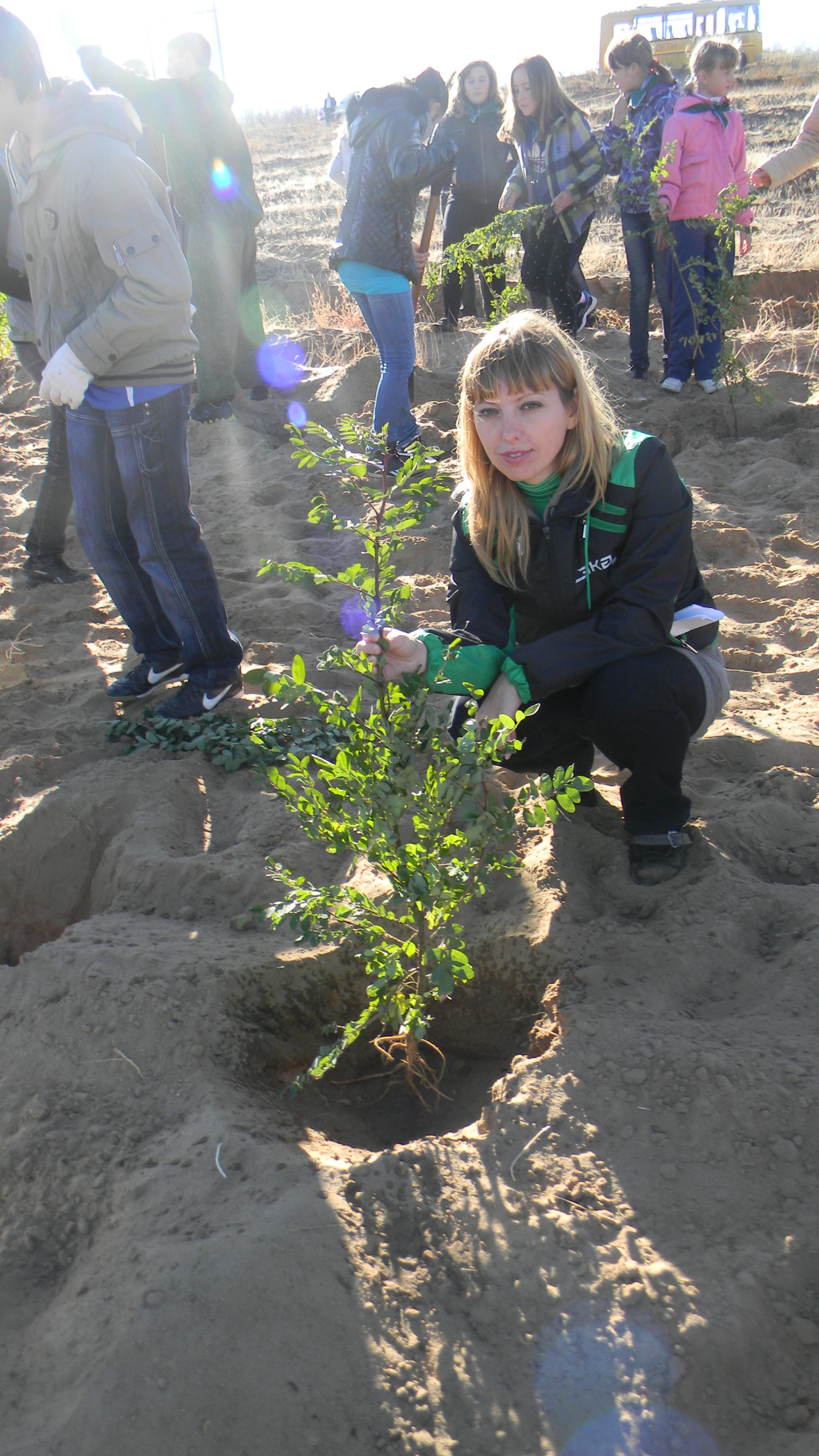 Посадки в Городище 3