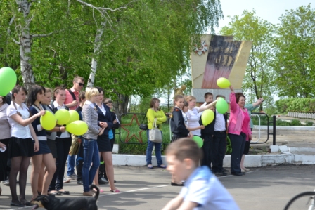 Копия DSC 7084