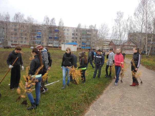 зеленый поселок 3