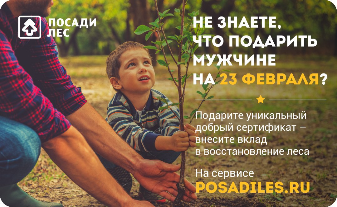 23 февраля