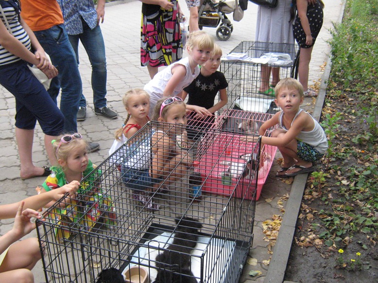 IMG 5396