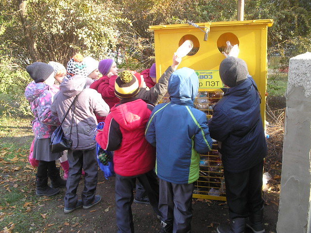 Школьный экодвор