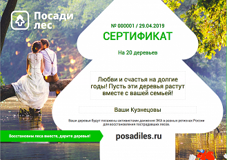 Screen Shot 2019-04-29 at 09.50.19