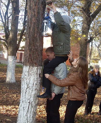 8214742494 7c7e906a1e z