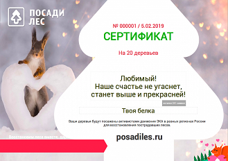 Screen Shot 2019-02-05 at 09.10.17