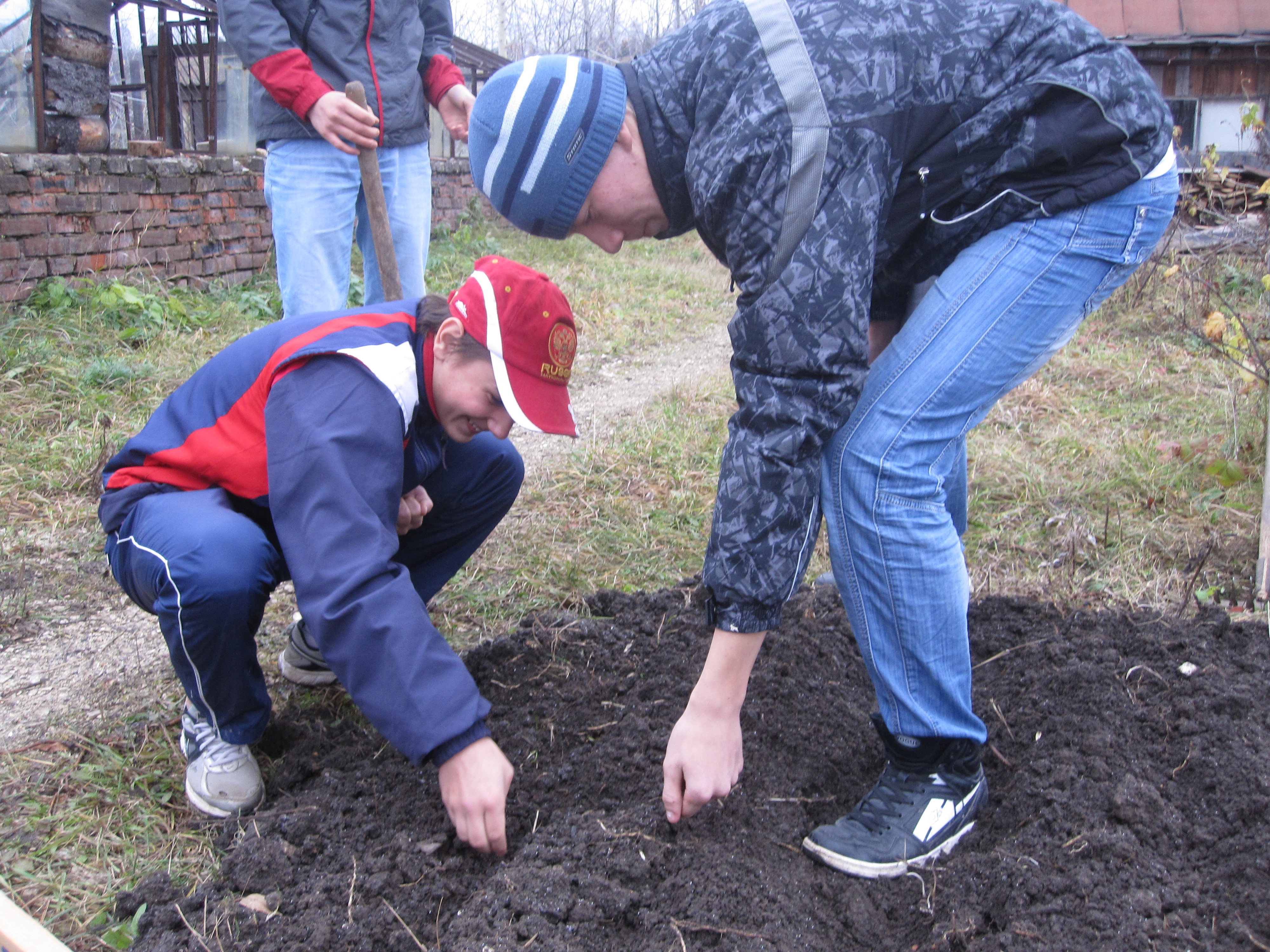 Чусовские школьники высаживают семена сибирской ели