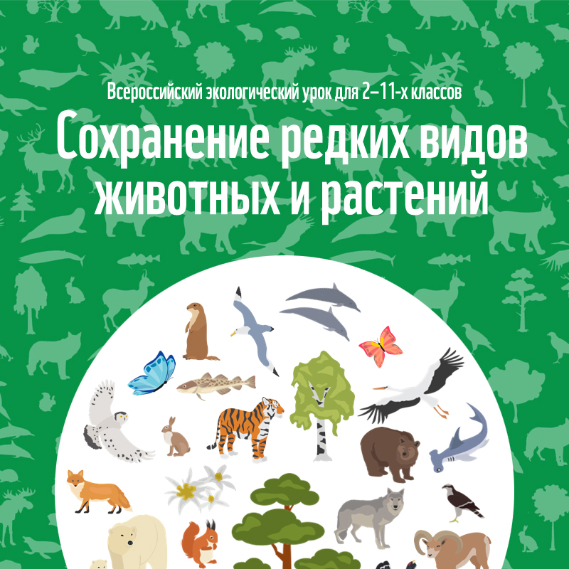 Охрана редких животных. Сохранение редких видов животных и растений. Сохранинеие редких видов