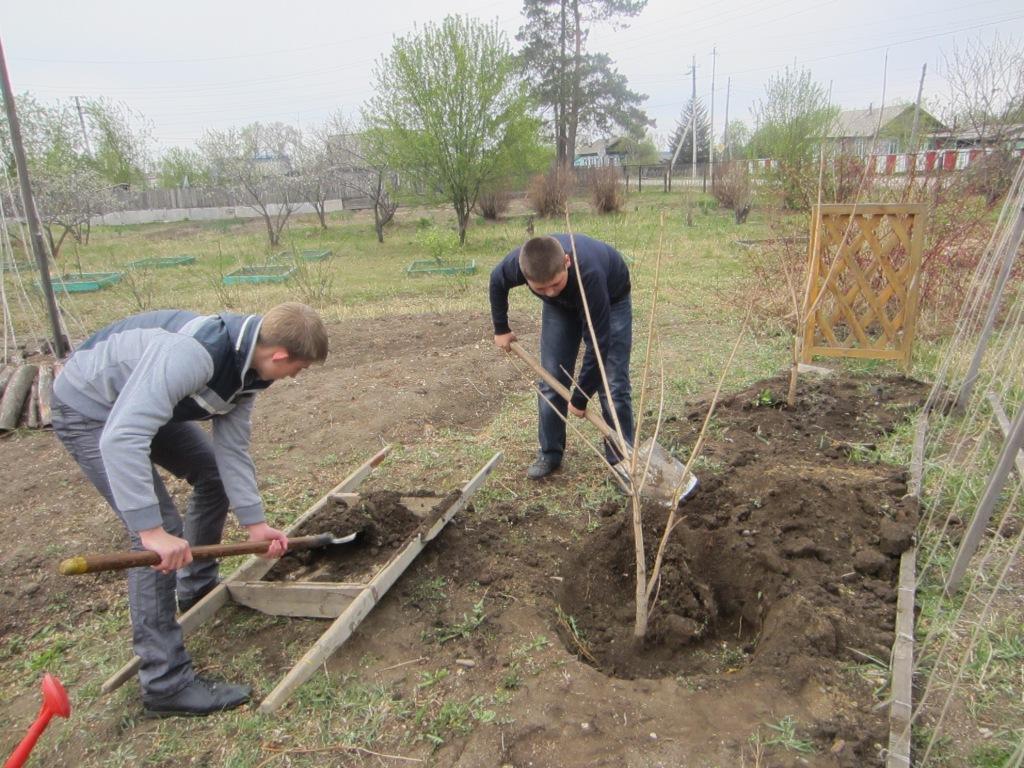 Копия IMG 5308