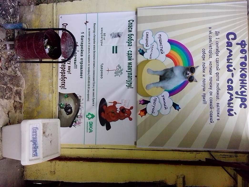 IMG 20150601 123254