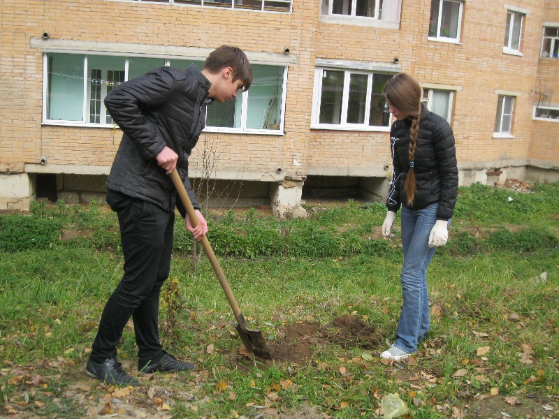 IMG 4543
