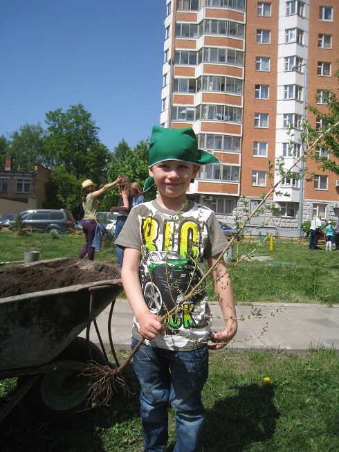 IMG 7334