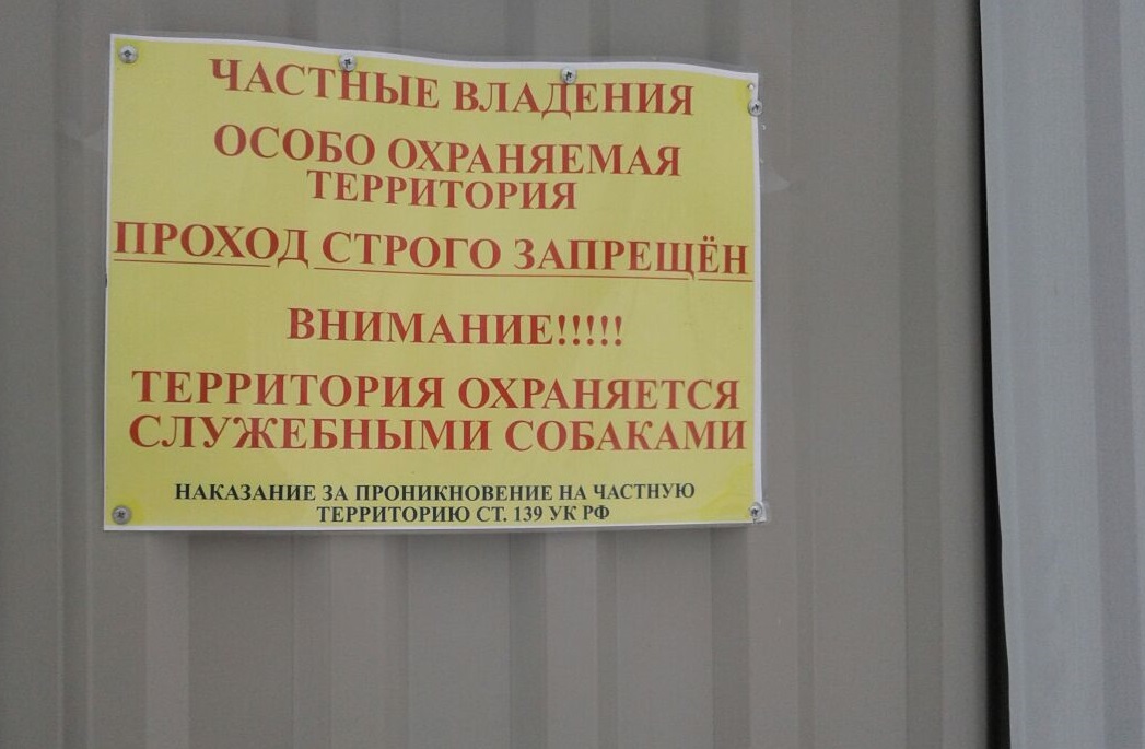 image6