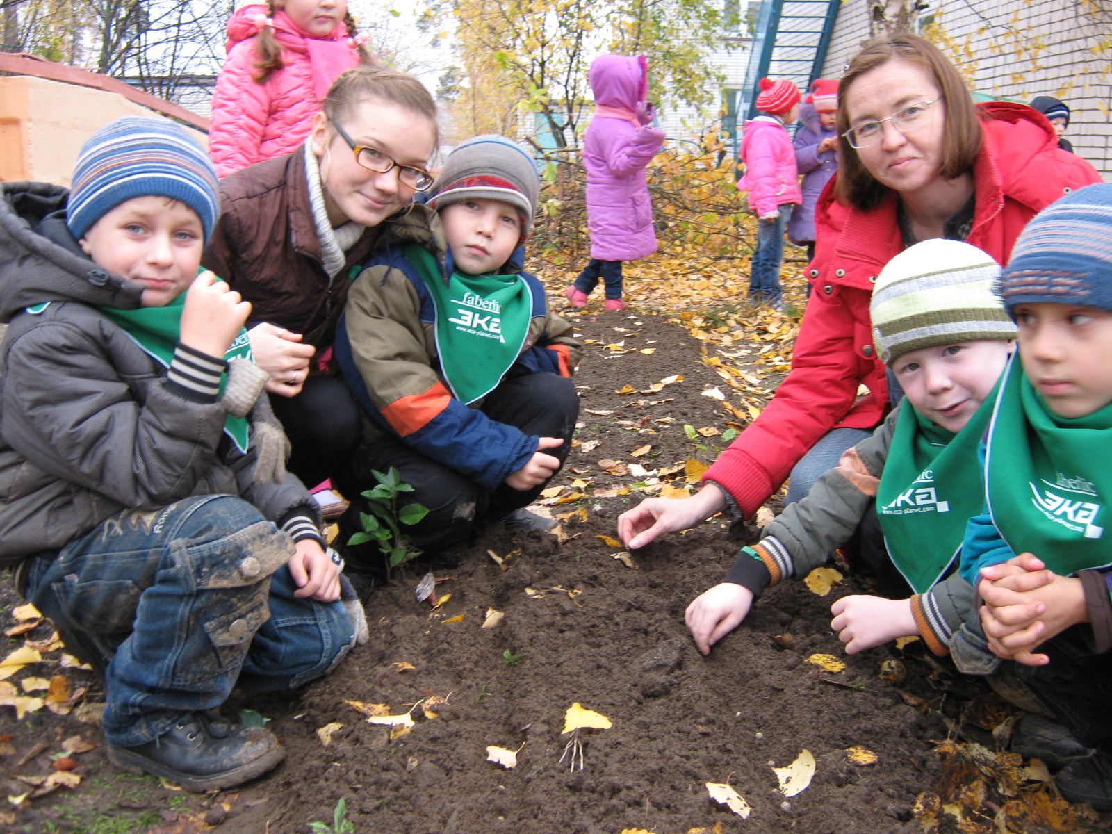 Прекрасные