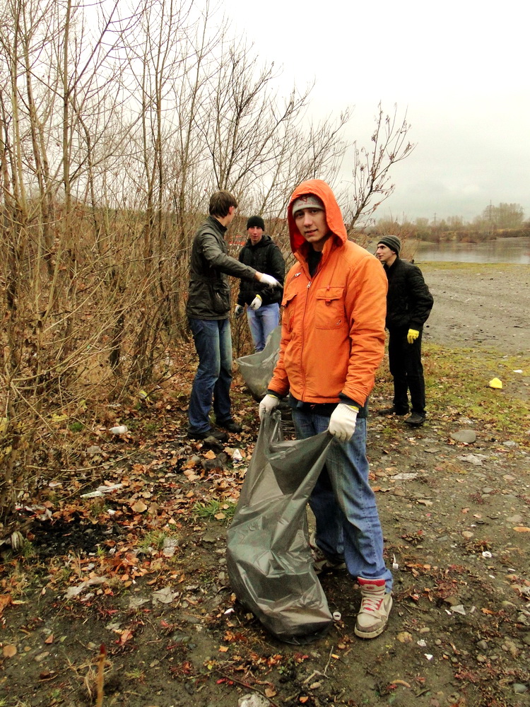 Соросбор на берегу водоема, Кемеровская область