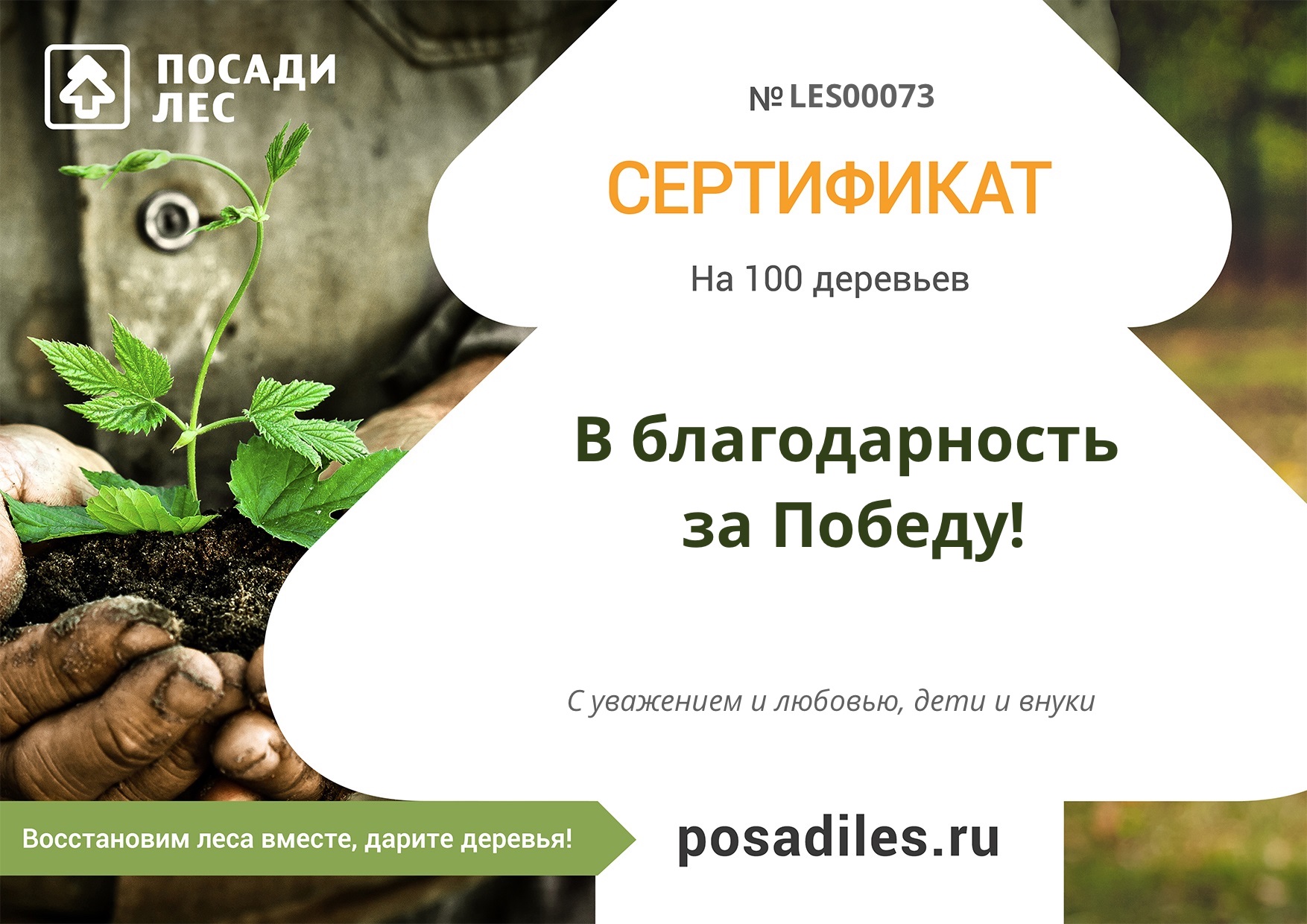 день Победы