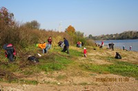 IMG 1178