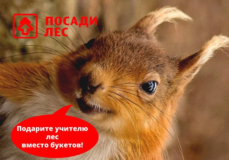 для сайта