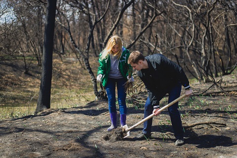 27642070828 c3cb5575e9 h