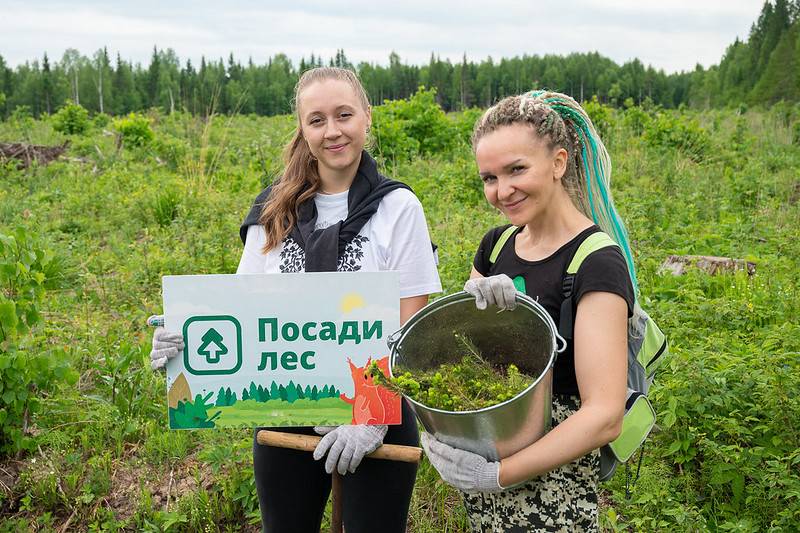 Посади лес 2