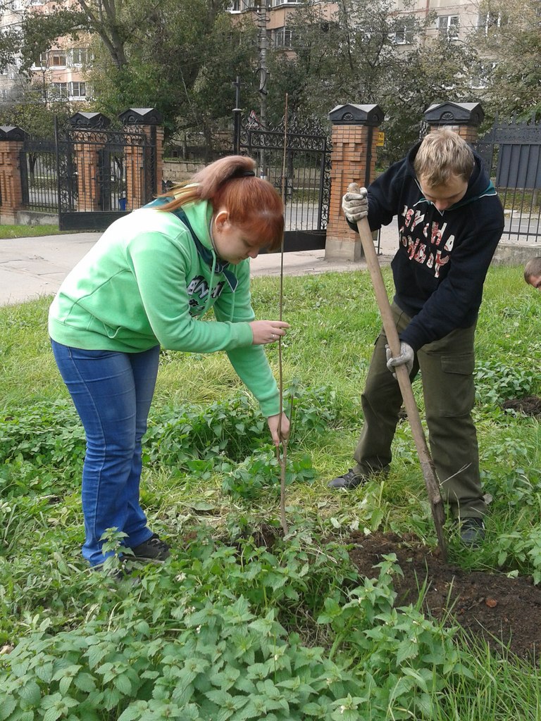 посадки 12