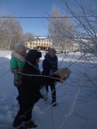 Копия P1050889