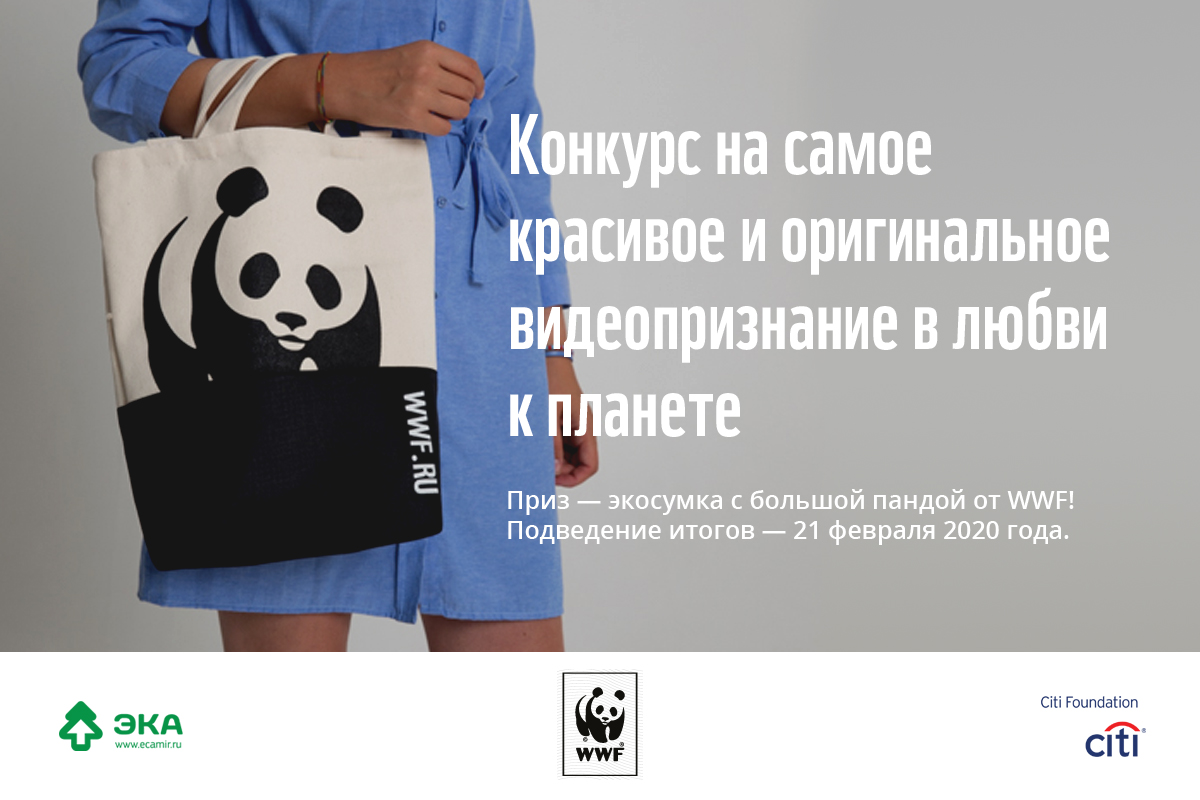 Влюбленные в планету