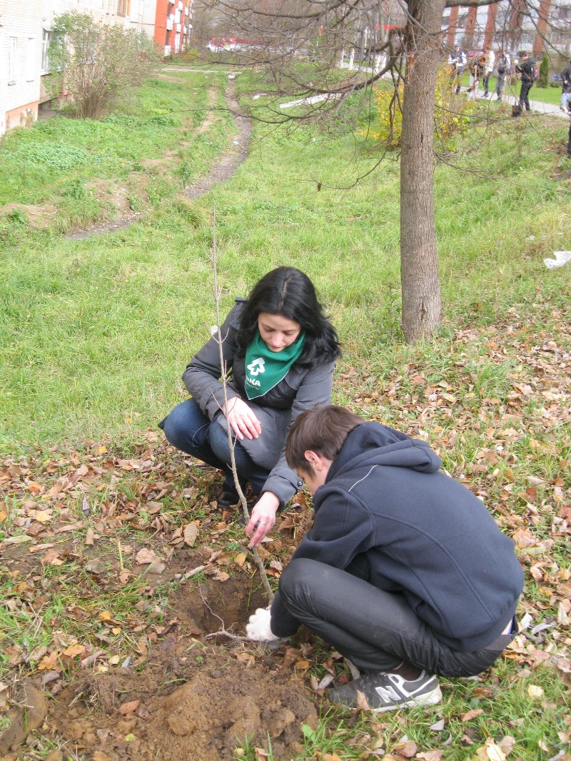 IMG 4562