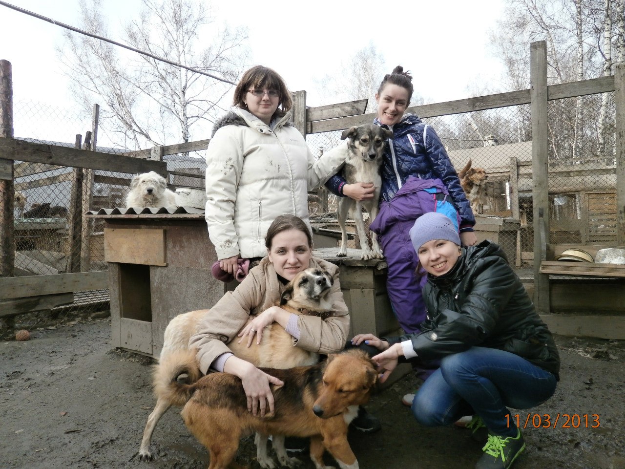 Приют