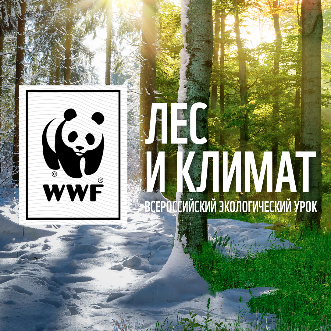 Всемирный фонд дикой природы WWF России. Всемирный фонд дикой природы эмблема. Фонд дикой природы в России. WWF акции.