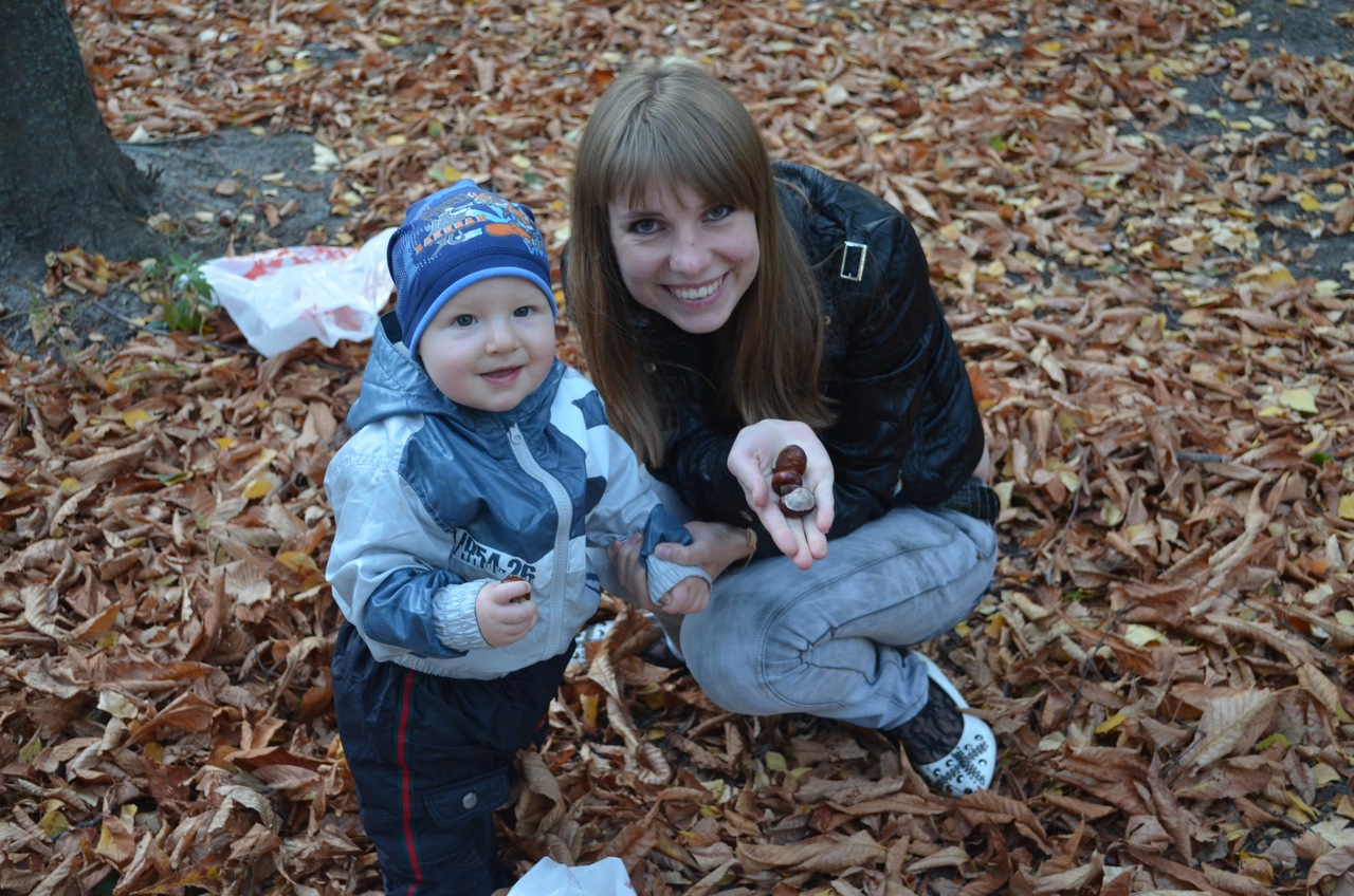 Куряне собирают каштаны