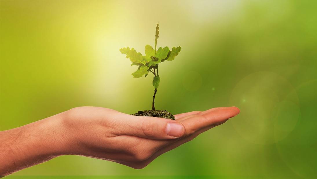 o3p5axx74ruqkcyczziu