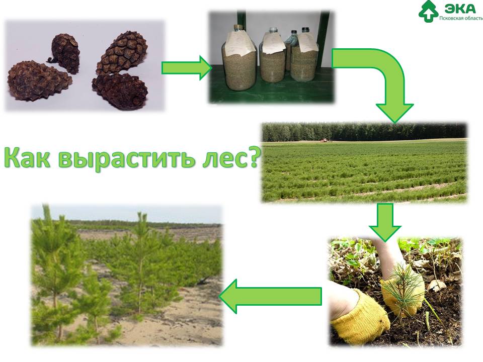 Банер