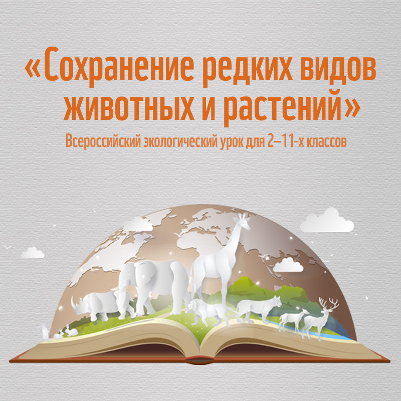 Сохраняй вид. Сохранение редких видов. Сохранение редких видов животных. Сохранинеие редких видов