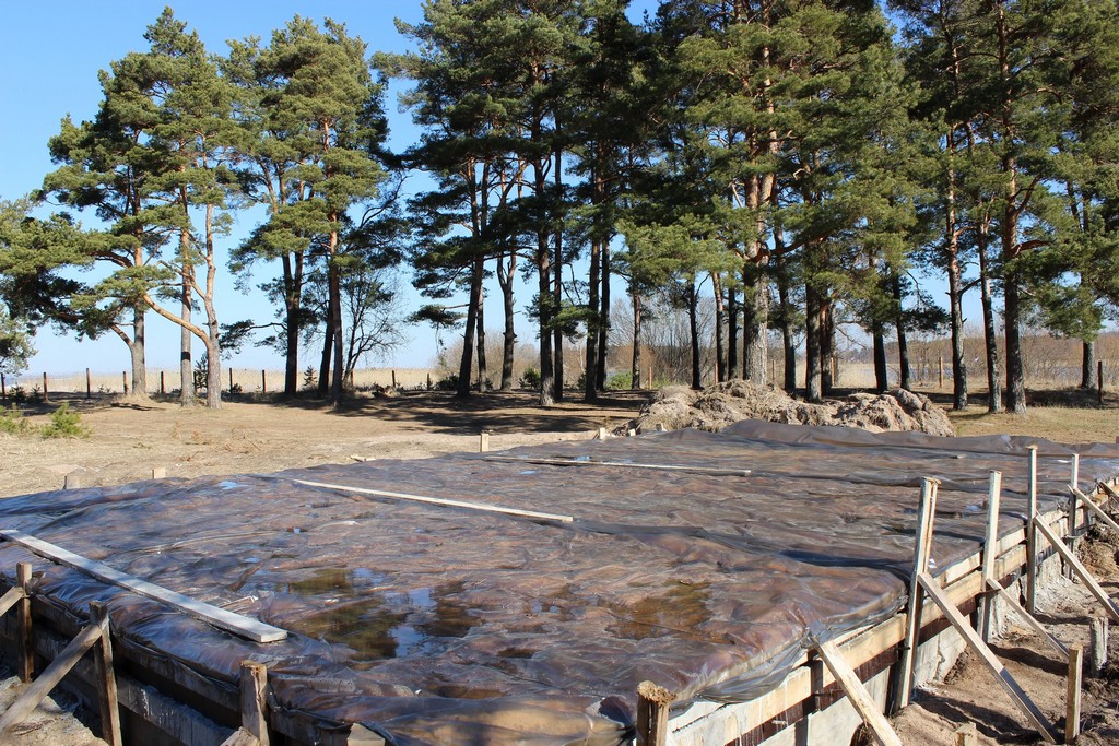 Юные экологи