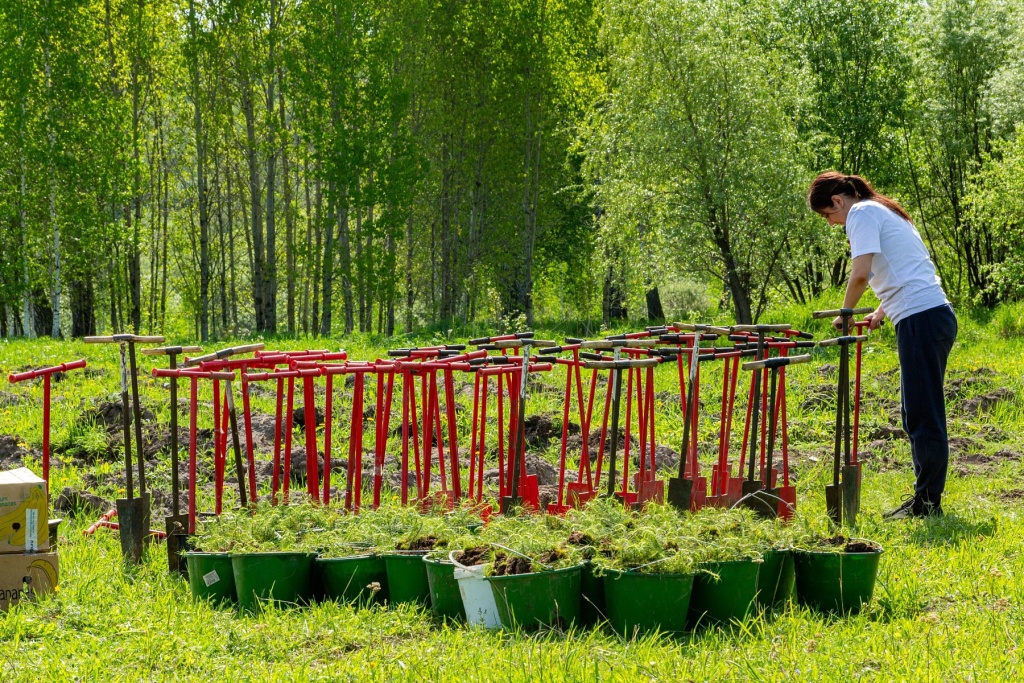 lqo382j2jtdxjlfz62di0ene25n1tk0j.jpg lqo382j2jtdxjlfz62di0ene25n1tk0j.jpg