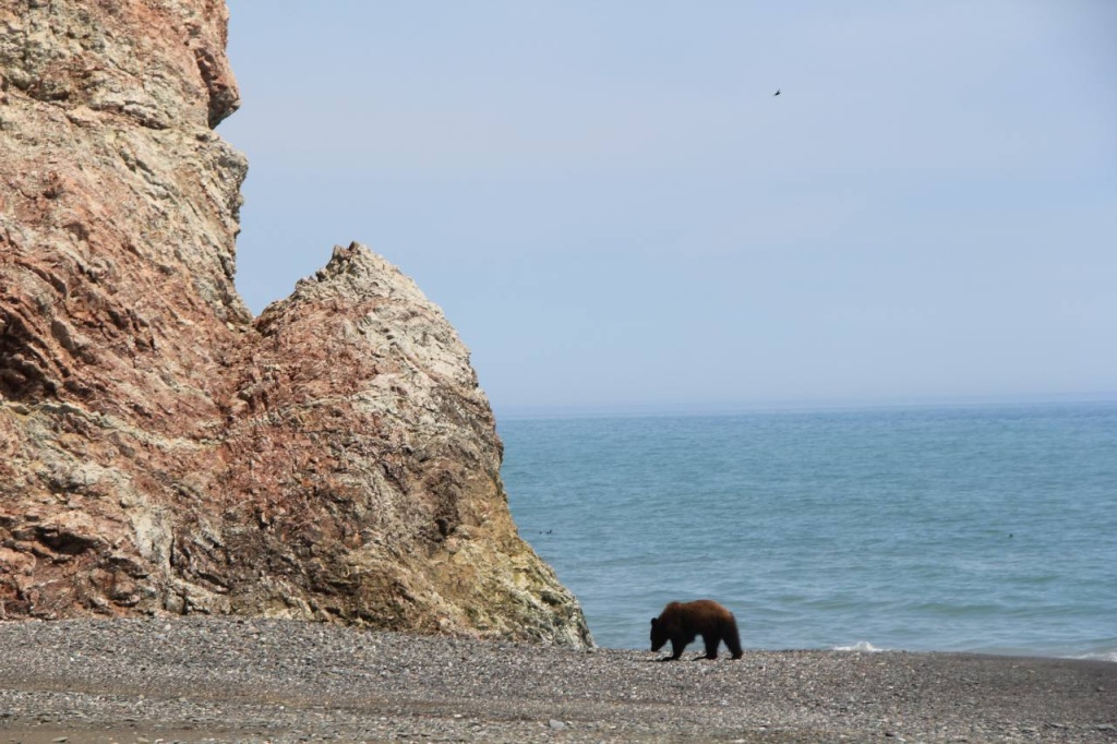 photo_2025-10-13_16-37-46.jpg photo_2025-10-13_16-37-46.jpg