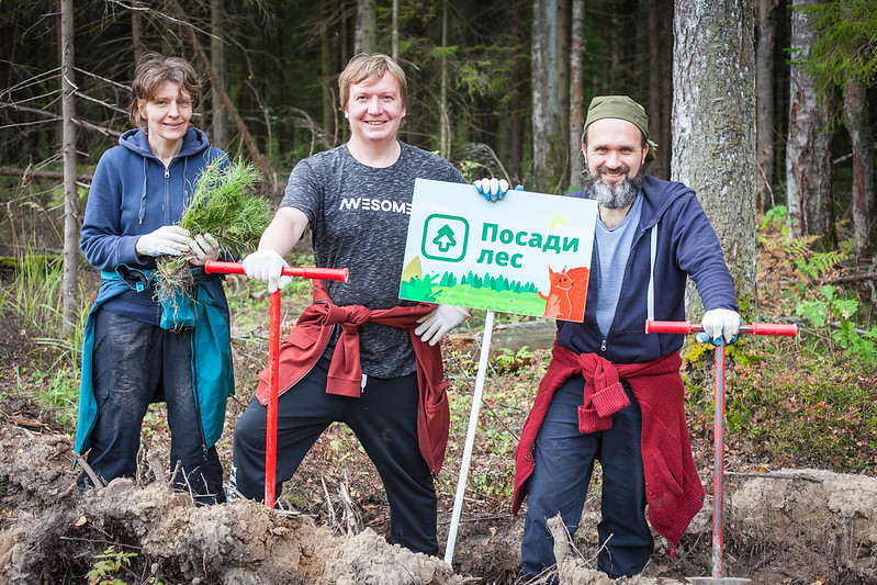 Посади лес