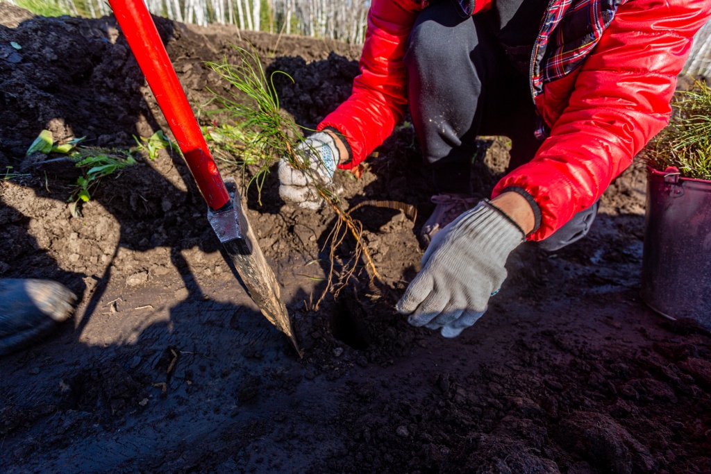 M9Xd0xjnEnULYIovHSXjrYhkvM_Kae54WfsMDUmfOM4x1P9J41it2EPz86zEo2hHxjY5uma5susMuOGHjp6jnWSh (1).jpg