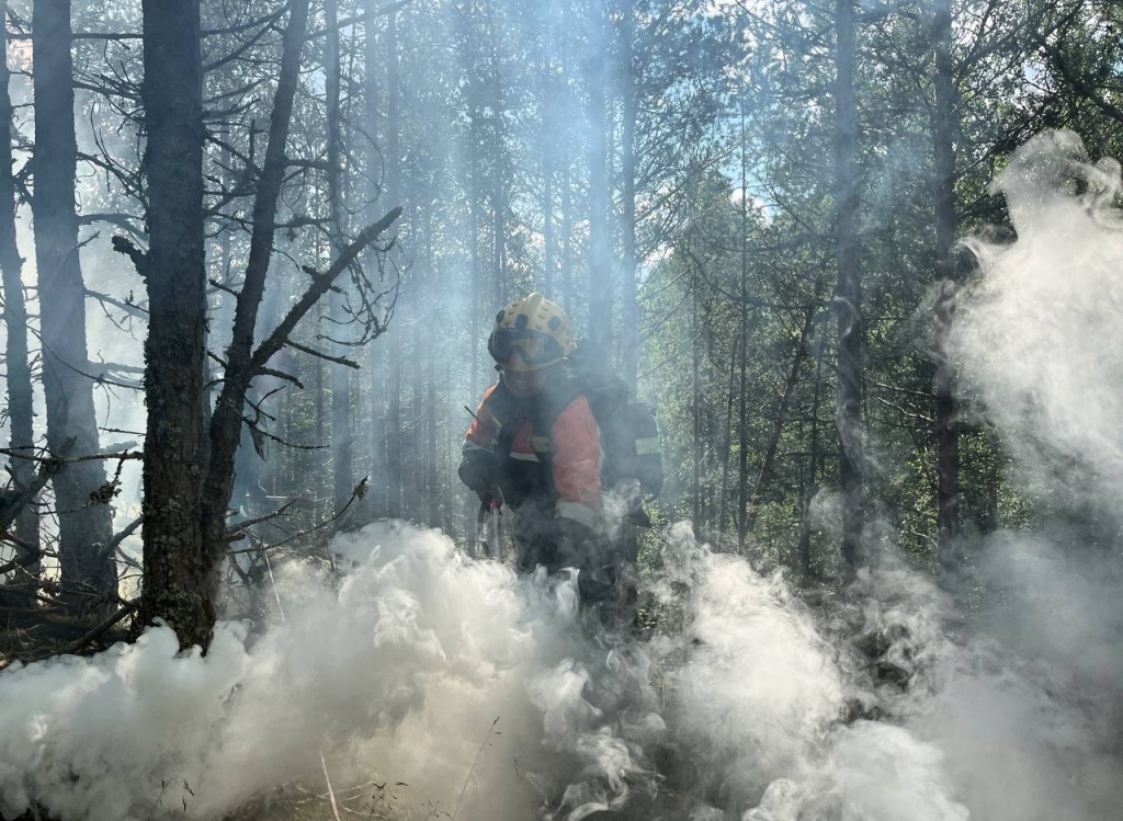 photo_2025-10-13_16-35-38.jpg photo_2025-10-13_16-35-38.jpg